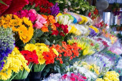 چرا تهرانی‌ها عادت نداشتند گل بخرند؟