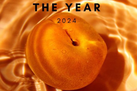 رنگ سال 2024 با پیش‌بینی پوشانیک مطابقت دارد